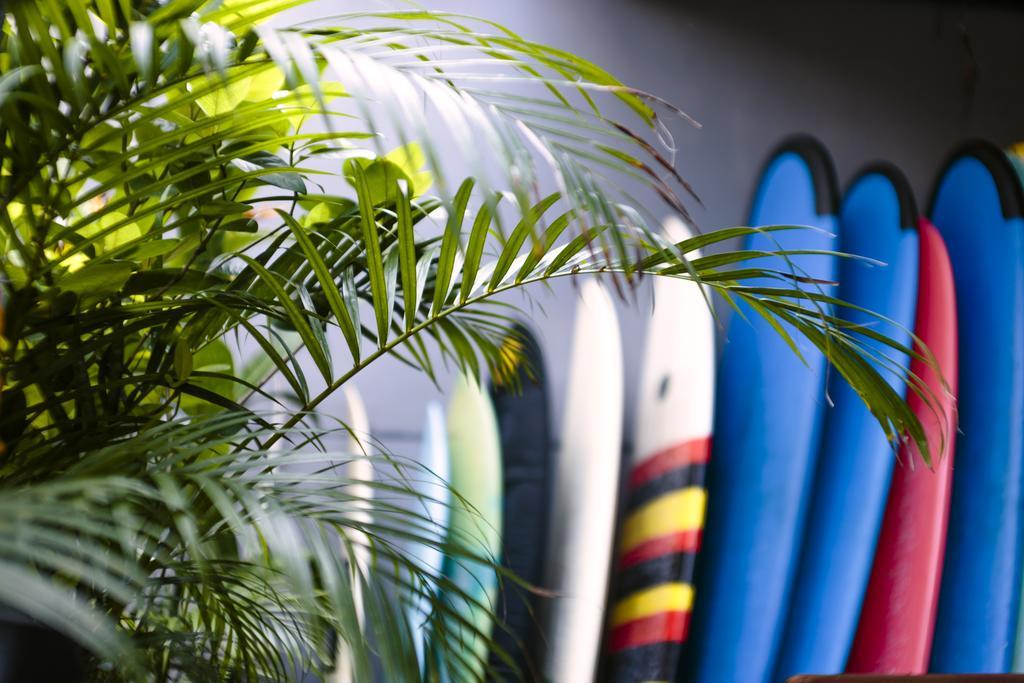 Surfers House Otel Kuta Lombok Dış mekan fotoğraf